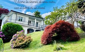 I Faggi Rossi - Red Beech Trees